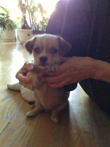 This one makes me laugh out loud