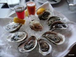 Oysters